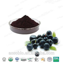 Factory Supply Purity Acai Berry Extract Powder in Bulk 5 : 1 10 : 1 20 : 1